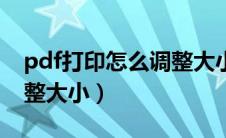 pdf打印怎么调整大小尺寸（pdf打印怎么调整大小）