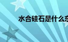 水合硅石是什么东西（水合硅石）