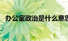 办公室政治是什么意思（政治是什么意思）