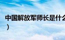 中国解放军师长是什么军衔（师长是什么军衔）
