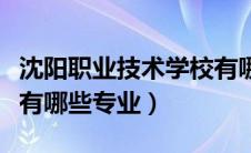 沈阳职业技术学校有哪些专业（职业技术学校有哪些专业）