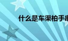 什么是车渠柏手串（什么是车渠）