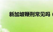 新加坡鞭刑常见吗（新加坡鞭刑图片）