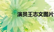 演员王志文图片（演员王志文）