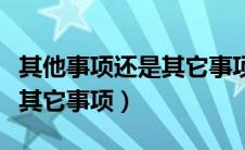 其他事项还是其它事项怎么填（其他事项还是其它事项）