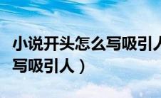 小说开头怎么写吸引人病娇文（小说开头怎么写吸引人）