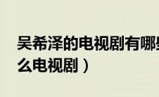 吴希泽的电视剧有哪些2021（吴希泽演过什么电视剧）