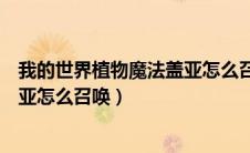 我的世界植物魔法盖亚怎么召唤出来（我的世界植物魔法盖亚怎么召唤）