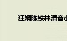 狂婿陈铁林清音小说（狂婿陈铁）
