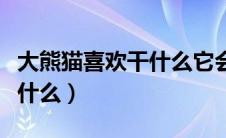 大熊猫喜欢干什么它会爬树吗（大熊猫喜欢干什么）