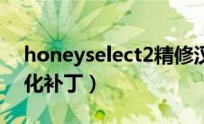 honeyselect2精修汉化（honeyselect2汉化补丁）