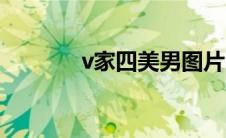 v家四美男图片（v家四美男）