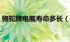 骆驼牌电瓶寿命多长（骆驼牌汽车电瓶寿命）