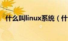 什么叫linux系统（什么是linux操作系统）