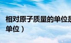 相对原子质量的单位是什么（相对分子质量的单位）