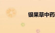 银果草中药（银果草）
