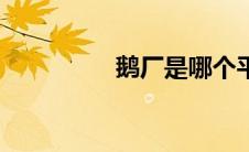 鹅厂是哪个平台（鹅厂）