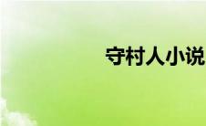 守村人小说（守村人）