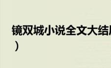 镜双城小说全文大结局（镜双城小说全文txt）