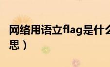 网络用语立flag是什么意思（立flag是什么意思）