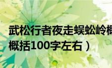 武松行者夜走蜈蚣岭概括（武行者夜走蜈蚣岭概括100字左右）