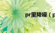 pr里降噪（pr降噪教程）