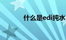 什么是edi纯水（什么是EDI）