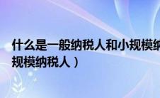 什么是一般纳税人和小规模纳税人（什么叫一般纳税人和小规模纳税人）