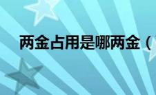 两金占用是哪两金（两金占用指哪两金）