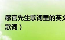 感官先生歌词里的英文是什么意思（感官先生歌词）