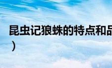 昆虫记狼蛛的特点和品质（昆虫记狼蛛的特点）