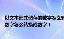 以文本形式储存的数字怎么转换为数字（以文本形式储存的数字怎么转换成数字）