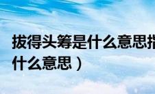 拔得头筹是什么意思指什么生肖（拔得头筹是什么意思）