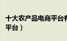 十大农产品电商平台有哪些（十大农产品电商平台）