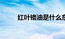红叶铬油是什么东西（红叶铬油）