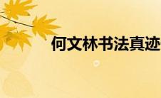 何文林书法真迹价格（何文林）