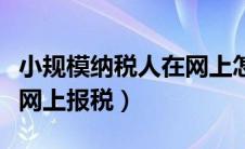 小规模纳税人在网上怎么报税（小规模怎么在网上报税）