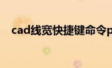 cad线宽快捷键命令pl（cad线宽快捷键）