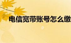 电信宽带账号怎么缴费（电信宽带账号）