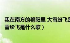我在南方的艳阳里 大雪纷飞是什么歌（我在南方的艳阳里大雪纷飞是什么歌）