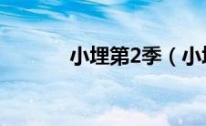 小埋第2季（小埋第二季全集）