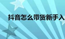 抖音怎么带货新手入门（抖音怎么带货）