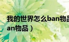 我的世界怎么ban物品指令（我的世界怎么ban物品）