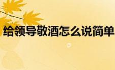 给领导敬酒怎么说简单（给领导敬酒怎么说）