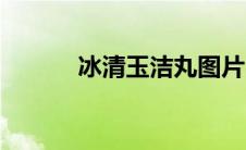 冰清玉洁丸图片（冰清玉洁丸）