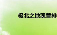 极北之地魂兽排名（魂兽排名）