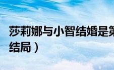 莎莉娜与小智结婚是第几集（莎莉娜和小智的结局）