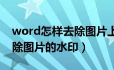 word怎样去除图片上的水印（Word怎么去除图片的水印）