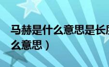 马赫是什么意思是长度还是速度（1马赫是什么意思）