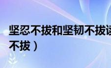 坚忍不拔和坚韧不拔读音（坚忍不拔还是坚韧不拔）